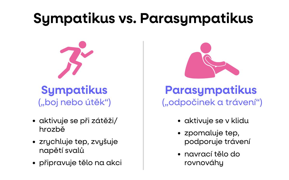 parasympatikus vagus nervus